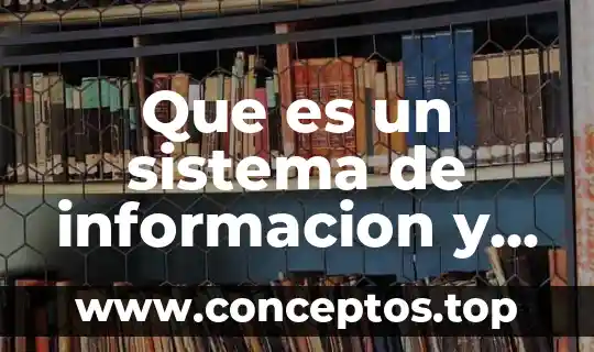 Que es sistema animal 8 Que es un sistema de informacion y como crear uno