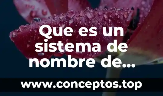 Que es servicio de dominio 3 Que es un sistema de nombre de dominio