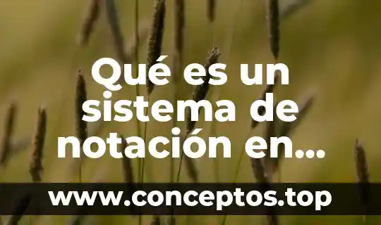 Qué es un sistema de notación en diferentes contextos