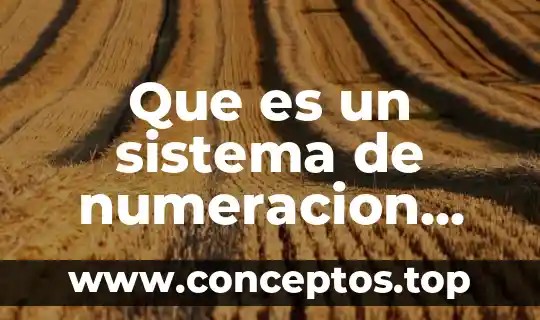 Qué es el sistema chino japonés no numeración 6 Que es un sistema de numeracion posicional ejemplos