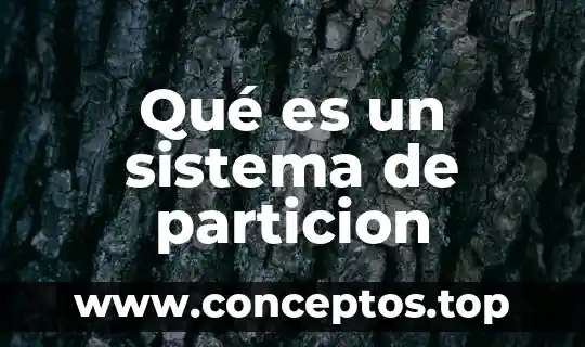 Qué es un sistema de particion