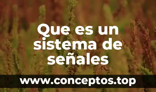 Que es un sistema de señales