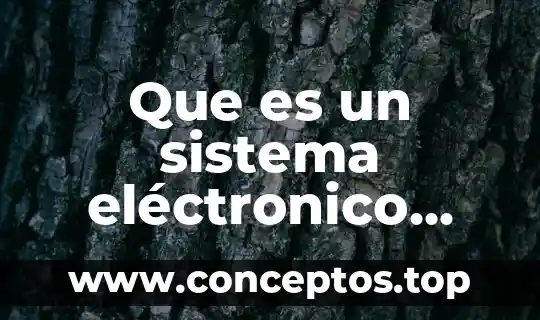 Que es sistema animal 7 Que es un sistema eléctronico digital