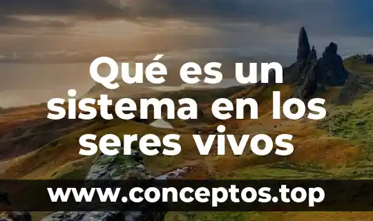 Qué es un sistema en los seres vivos