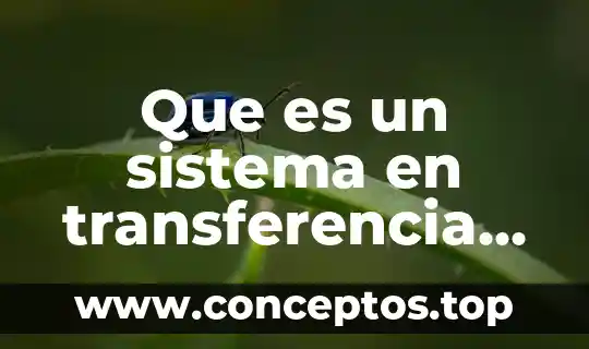 Que es un sistema en transferencia de calor y masa