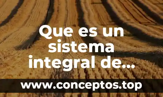 Que es capacitacion y tipos de capacitacion 8 Que es un sistema integral de capacitacion