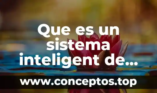 Que es el popper sólido 7 Que es un sistema inteligent de trawporte