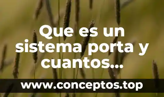 Que es un sistema porta y cuantos existen