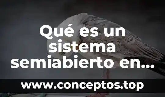 Qué es la mortalidad en biología 4 Qué es un sistema semiabierto en biologia