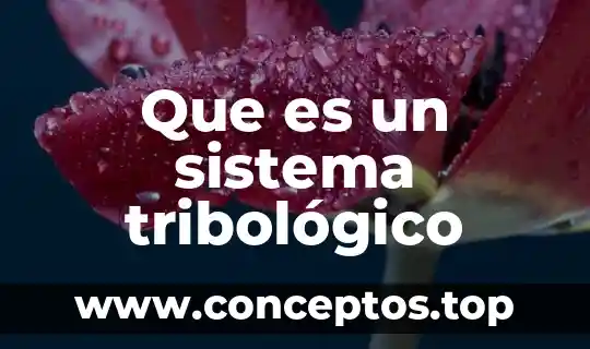 Que es un sistema tribológico