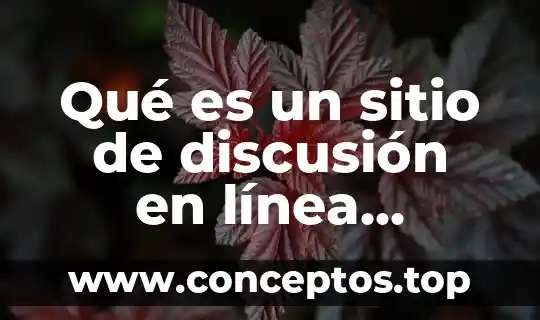 Para que es importante un sitio web 3 Qué es un sitio de discusión en línea asincrónico