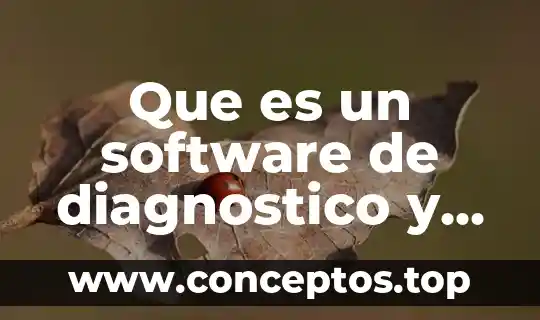 Que es un software de diagnostico y mantenimiento
