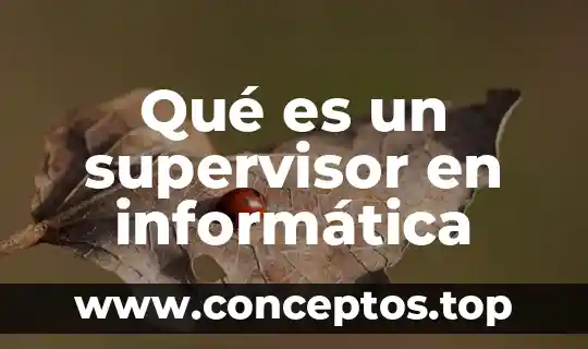 Qué es un supervisor en informática