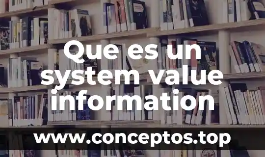 Que es un system value information