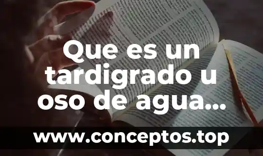 Que es un tardigrado u oso de agua mide