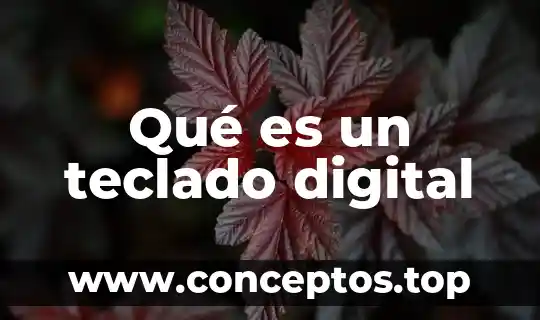 Qué es un teclado digital