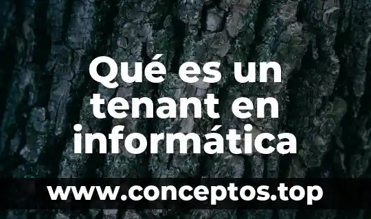 Qué es un tenant en informática