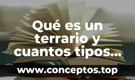 Qué es un terrario y cuantos tipos hay