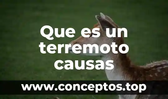 Que es un terremoto causas