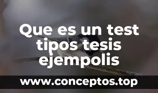 Que es un test tipos tesis ejempolis