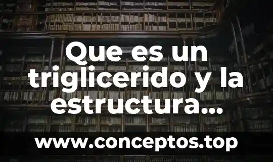 Que es un triglicerido y la estructura quimica