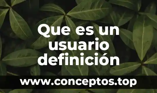 Qué es transacción comercial definición 6 Que es un usuario definición