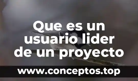 Que es nombre del proyecto 7 Que es un usuario lider de un proyecto