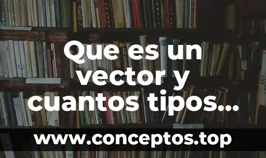 Que es un vector y cuantos tipos hay
