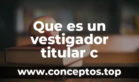 Que es un vestigador titular c