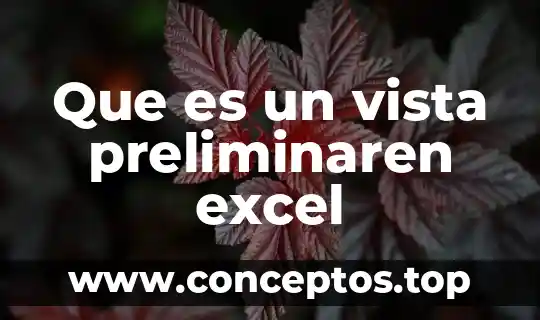 Que es el impuesto desde el punto de vista económicos 7 Que es un vista preliminaren excel