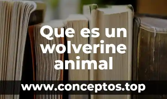 Que es un wolverine animal