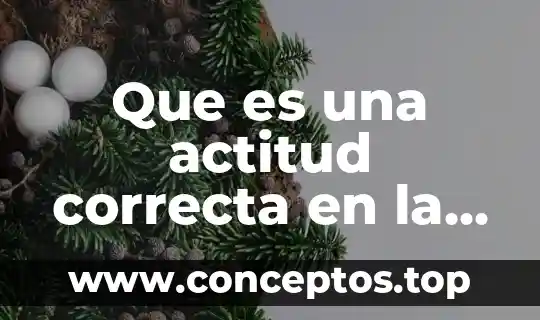 Qué es actitud concepto y ejemplo 8 Que es una actitud correcta en la vida