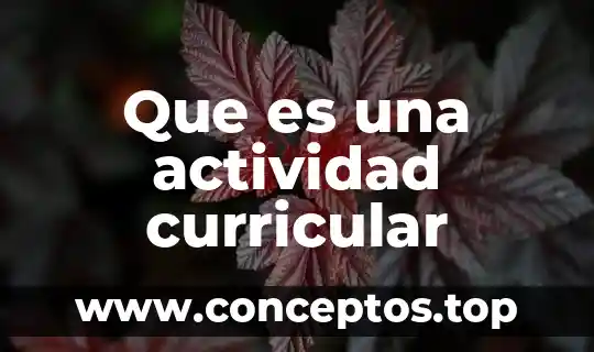 Nombre de la actividad que es colorear con sumas 8 Que es una actividad curricular
