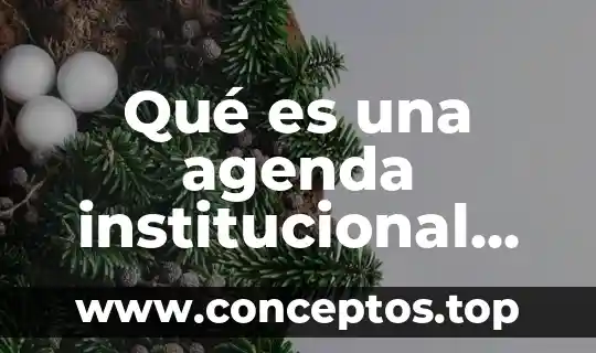 Qué es una agenda institucional en trabajo social