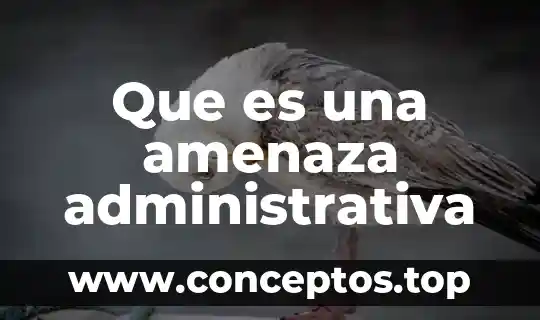 Que es una amenaza administrativa