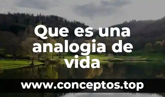 Qué es la muerte y la vida 5 Que es una analogia de vida