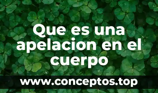 Que es una apelacion en el cuerpo