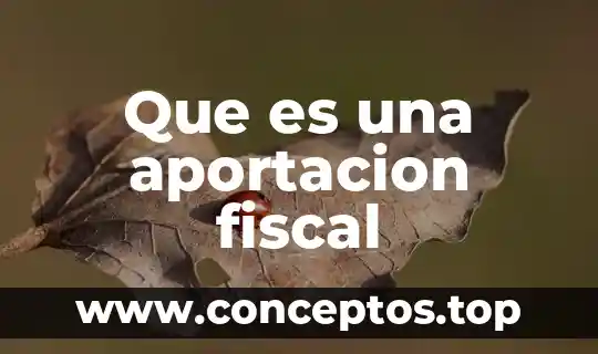Que es nombre fiscal 5 Que es una aportacion fiscal