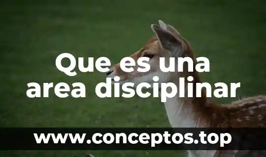 Que es una area disciplinar