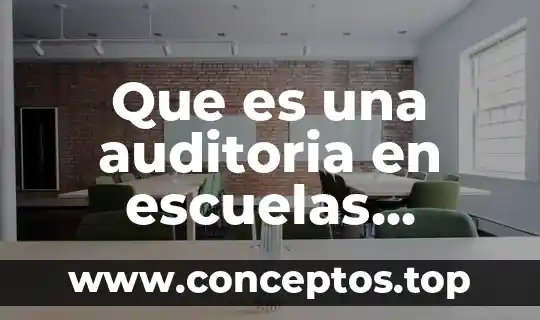 Que es una auditoria en escuelas publicas