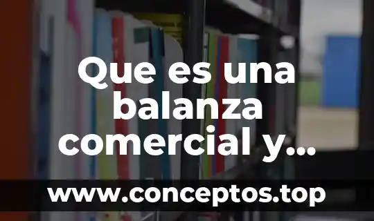 Que es una balanza comercial y cuales son sus tipos