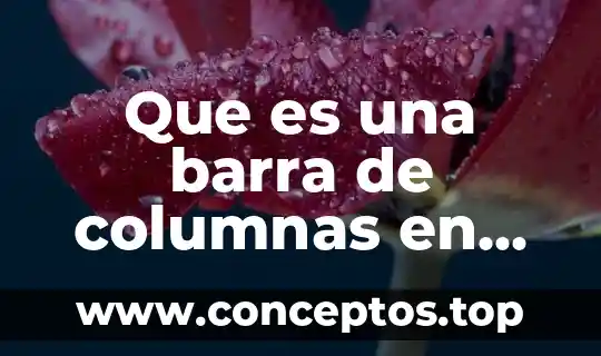 Que es una barra de columnas en excel