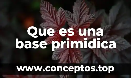 Para que es recomendable la base en color 8 Que es una base primidica