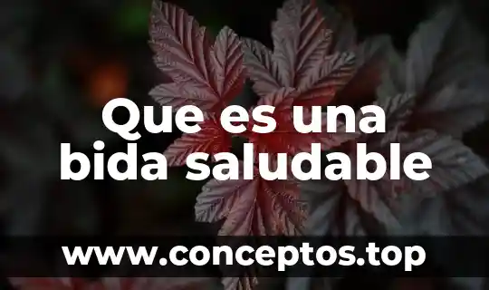 Que es un bol de cereales saludable 4 Que es una bida saludable