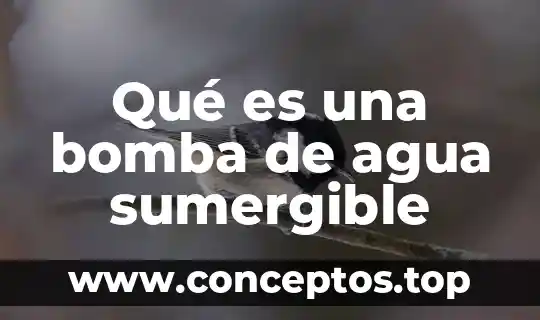 Que es la caja del agua 5 Qué es una bomba de agua sumergible