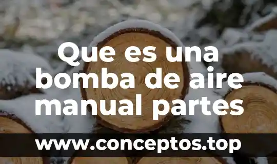 Qué es bomba presurizadora de agua 8 Que es una bomba de aire manual partes