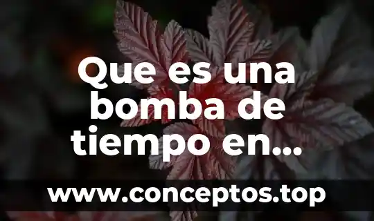 Qué es bomba presurizadora de agua 5 Que es una bomba de tiempo en informatica
