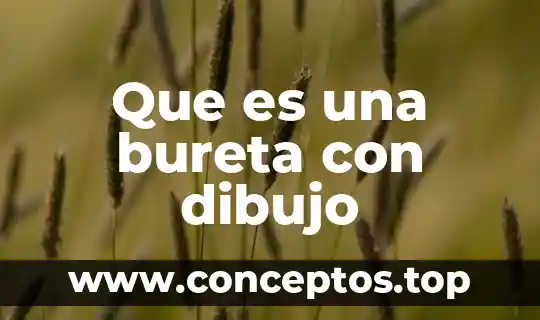 Que es una bureta con dibujo