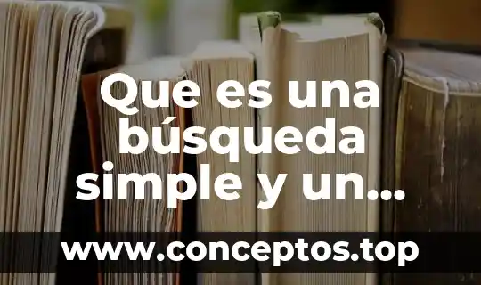 Que es una búsqueda simple y un ejemplos