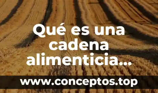Qué es una cadena alimenticia corta
